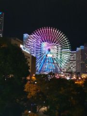 みなとみらい　観覧車