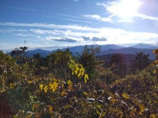 高尾山　山頂